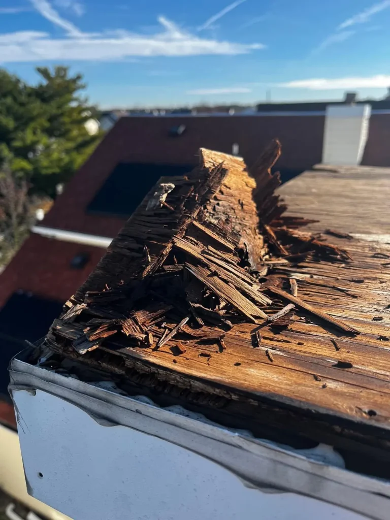 Deteriorated roof edge and fascia before repair