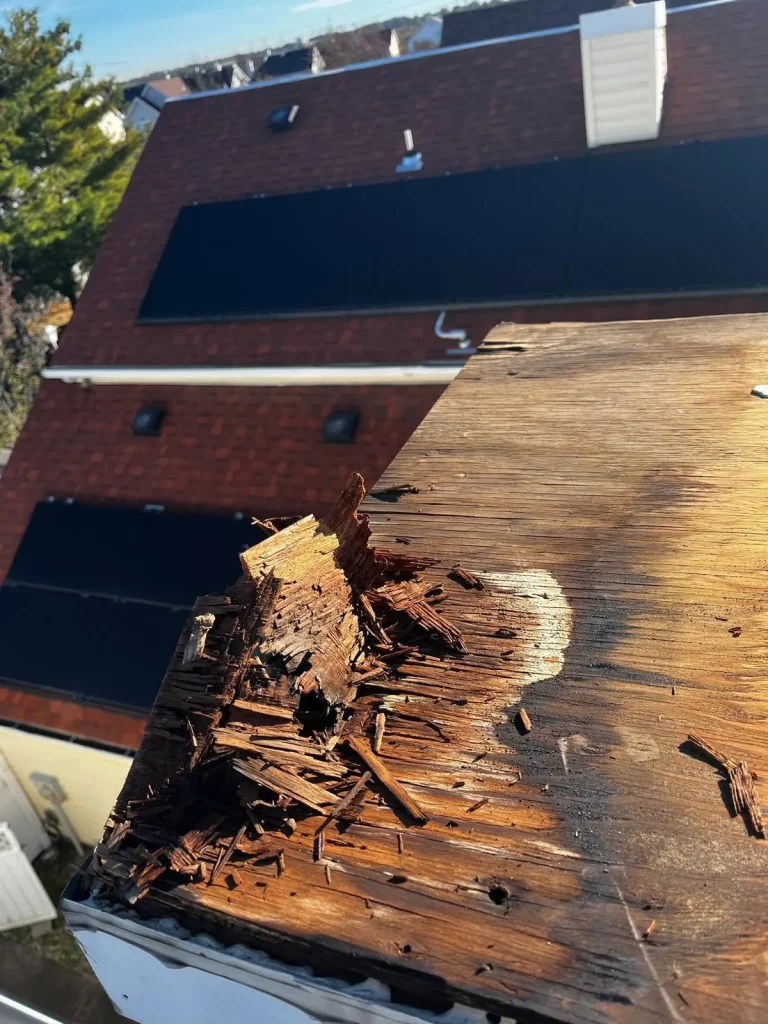 Rotted roof decking uncovered near a skylight