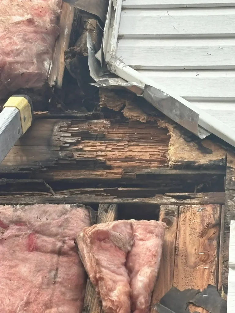 Rotted sheathing and framing exposed behind vinyl siding at a wall corner