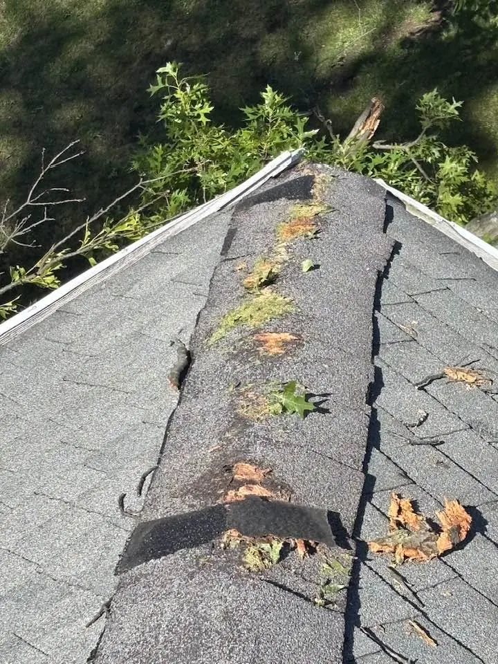 Roof ridge damaged by fallen tree limbs after a storm