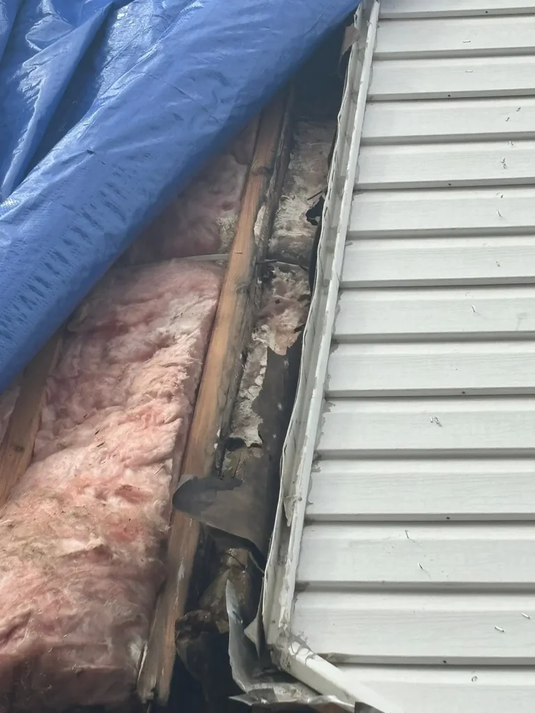 Water-damaged framing and wet insulation exposed behind vinyl siding at a wall corner